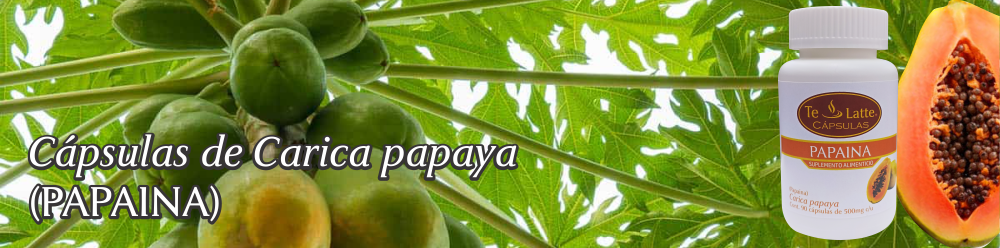 Te Latte CaféCápsulas de Carica papaya (PAPAINA)